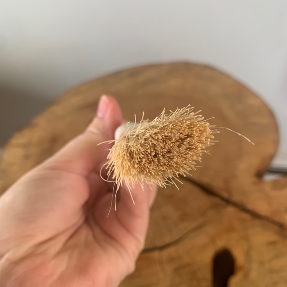 FREE ADD ON / TUPPERWARE / Basting Brush - Picture 2 of 5